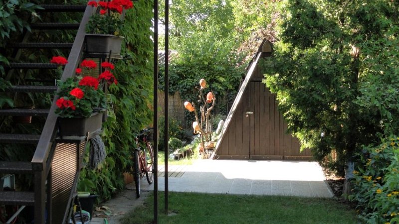 DSC00641 00.JPG - A kert.